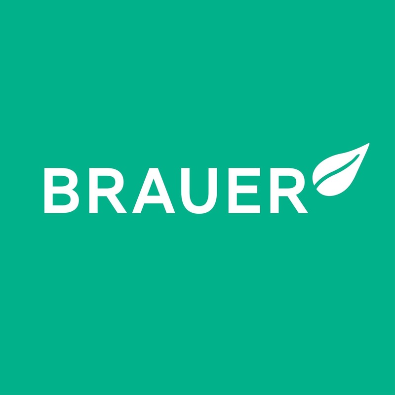 Brauer